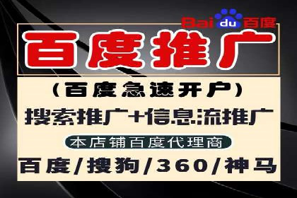SEM广告投放策略：成功案例解析